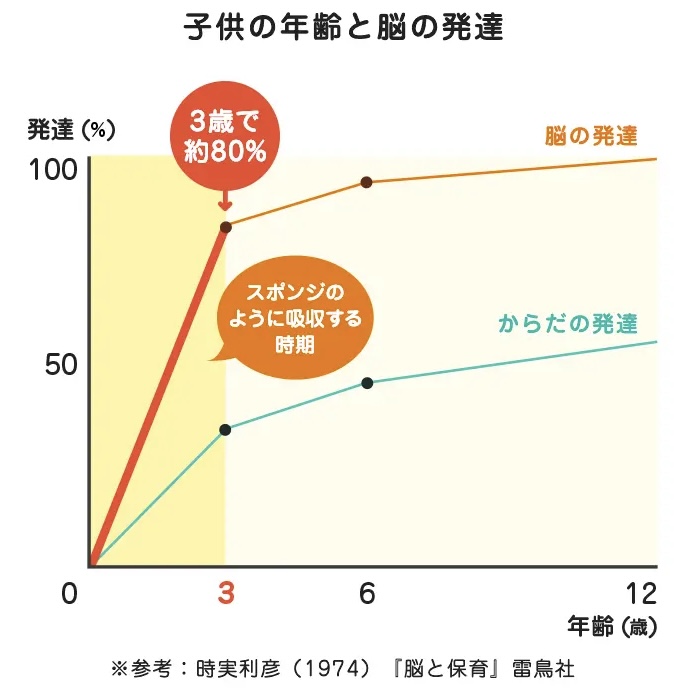 子供の年齢と脳の発達の相関関係を表したグラフ